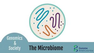 Diet based on gut microbes