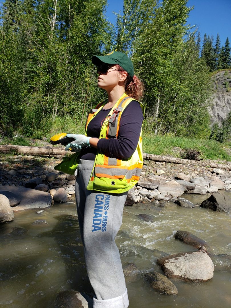 Q&A with Mae Whyte, Restoration Program Manager, Blueberry River First ...