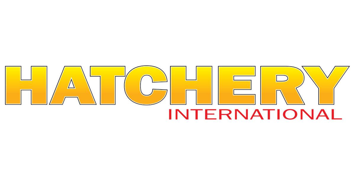 Hatchery International logo