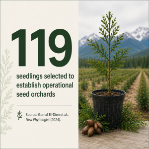 119 Seedlings selected to establish operational seed orchards